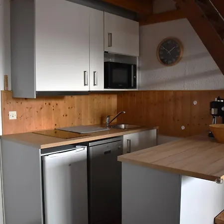 شقة Confortable 2 Pieces En Mezzanine Avec Jardin A Bolquere - Fr-1-592-80 *